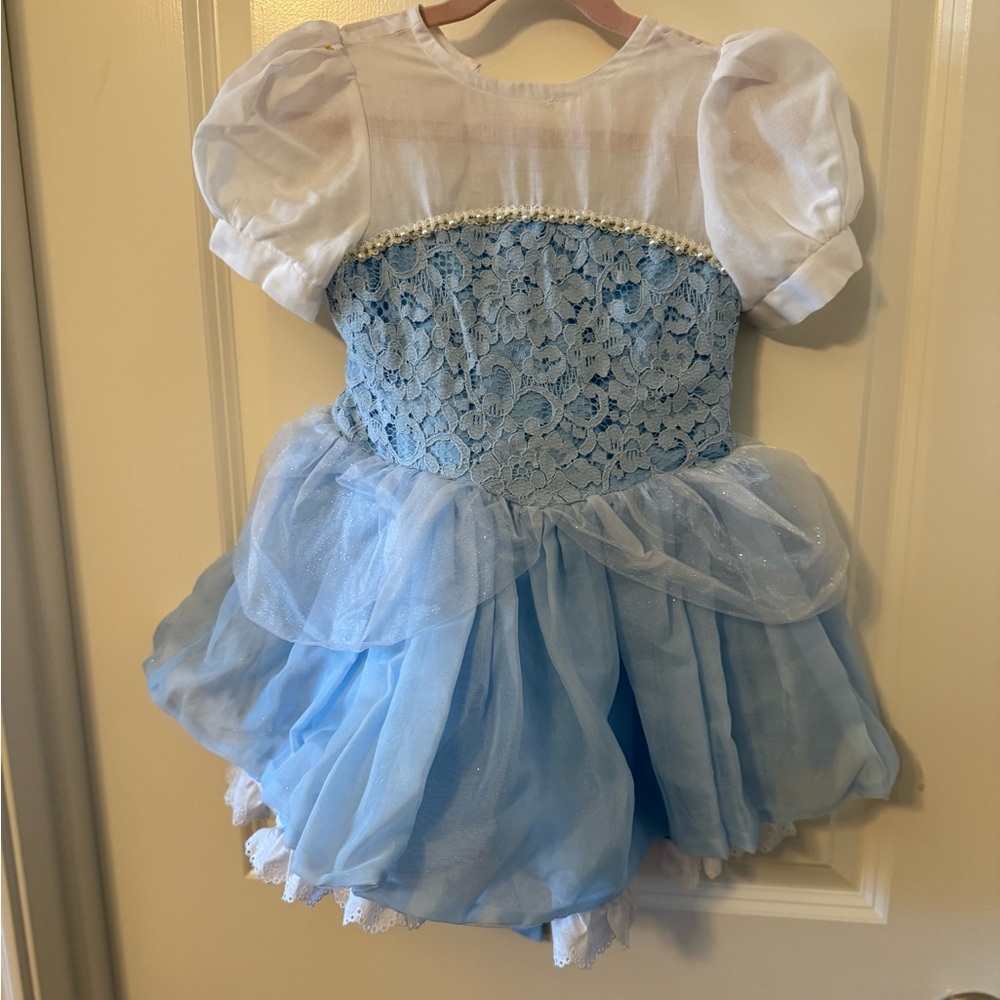 4T Holley + Sage Cinderella dress